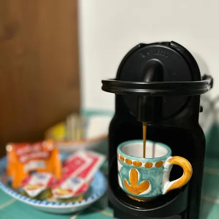 Vie En Rose 소렌토