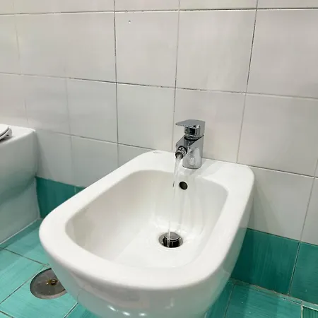 Vie En Rose 소렌토